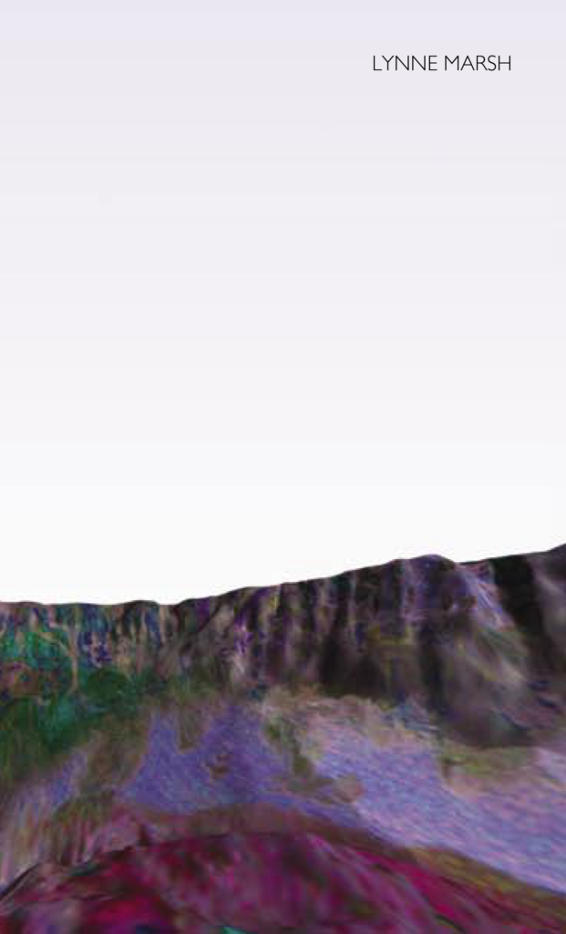 lynne_marsh_volcano_catalogue_cover lynne_marsh_volcano_catalogue_cover